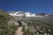  絶景の山小屋2泊付きヴァレアオスタの４大名峰ハイキング10日間