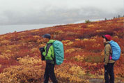 世界遺産クルアニ国立公園とホワイトホース紅葉ハイキング８日間間
