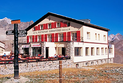 �V���o���c�[�[