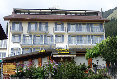 �V���[�l�b�O�i�E�F���Q���j