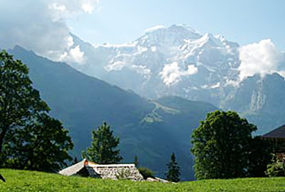 �Y�������g���X�^�[�g����Ɖ_�Ԃ��烆���O�t���E�̗D���Ȏp�������Ă����B