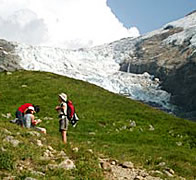 �u�X�͑��v�Ƃ��Ă��m����O�����f�������g�B�r���ł�����ƈ�x�݁B