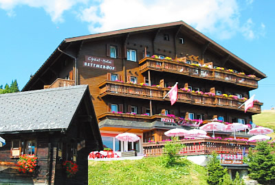 �x�b�g�}�[�z�t