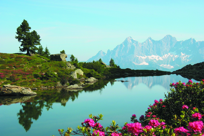 austria05