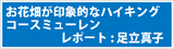 お花畑が印象的なハイキングコース、ミューレン