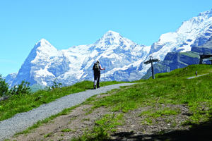 grindelwald06