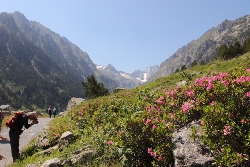 tirol01