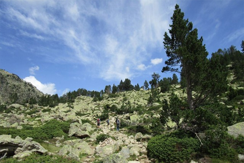 tirol01