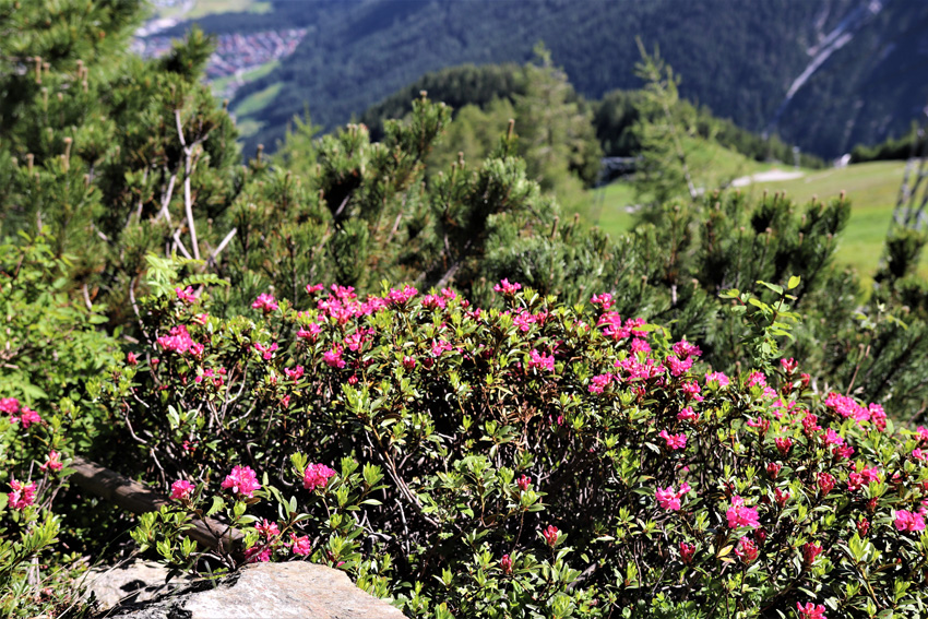 tirol01