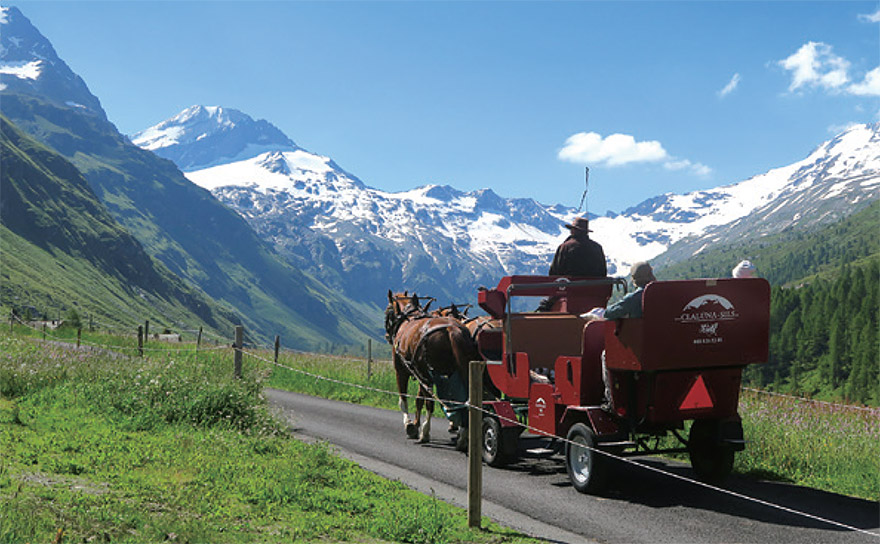 mezz 限定モレルスイス国 mezz 限定モレルスイス国