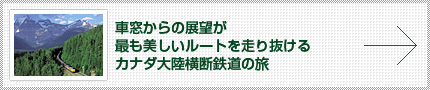 ԑ̓W]ł[g𑖂蔲Ji_嗤fS̗