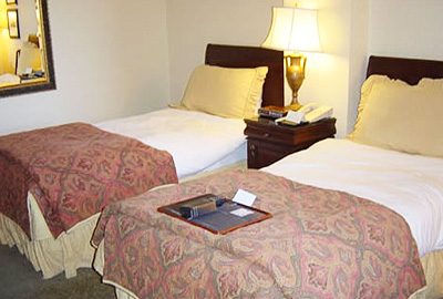 �t�F�A�����g�E�o���t�X�v�����O�X