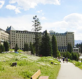 �t�F�A�����g�E�V���g�[���C�N���C�[�Y