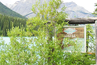 �G�������h���C�N���b�W