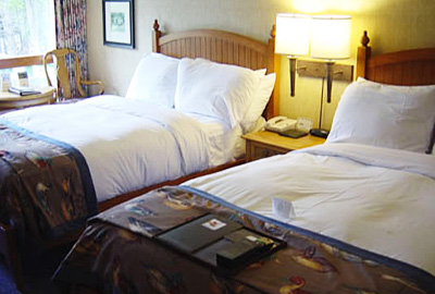 �t�F�A�����g�E�W���X�p�[�E�p�[�N���b�W