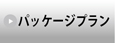 パッケージツアー