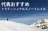 代表おすすめ　トラディショナルスノートレイ…