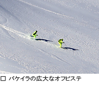 バケイラの広大なオフピステ
