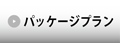パッケージプラン