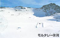 モルタレー氷河