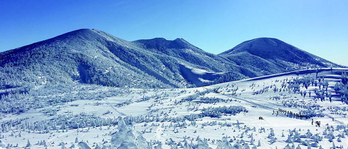 八甲田山麓をワイドに滑る山岳スキーの旅5日間｜フェロースキー