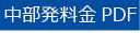 中部PDF