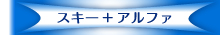 ニュージーアーアクティビティー