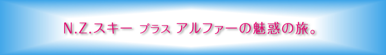 スキープラスアルファの魅力