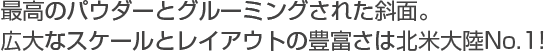 ō̃pE_[ƃO[~OꂽΖʁBLȃXP[ƃCAEg̖Lx͖kđ嗤No.1!